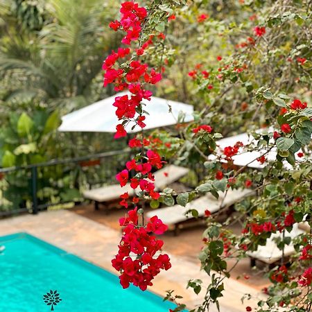 Mediterraneo Suites Puerto Iguazú Eksteriør billede