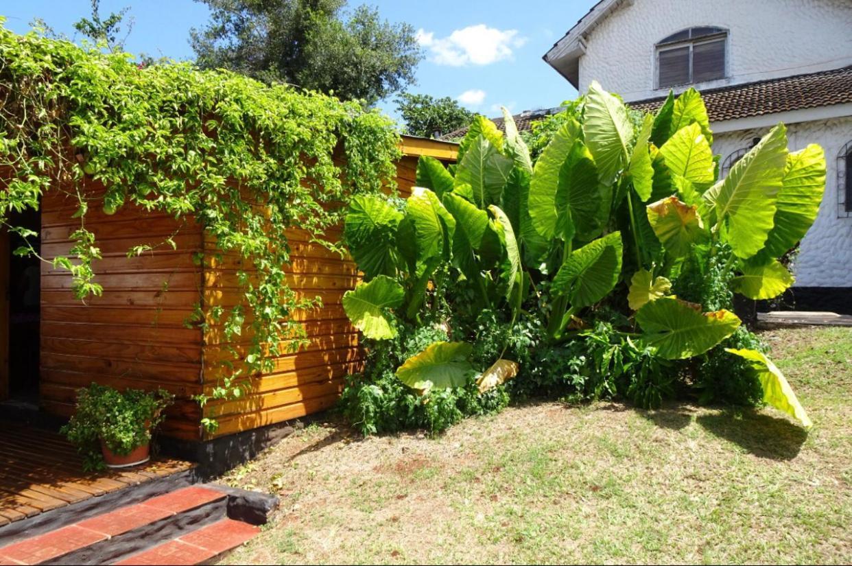 Mediterraneo Suites Puerto Iguazú Eksteriør billede