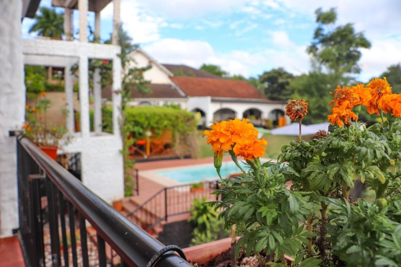 Mediterraneo Suites Puerto Iguazú Eksteriør billede