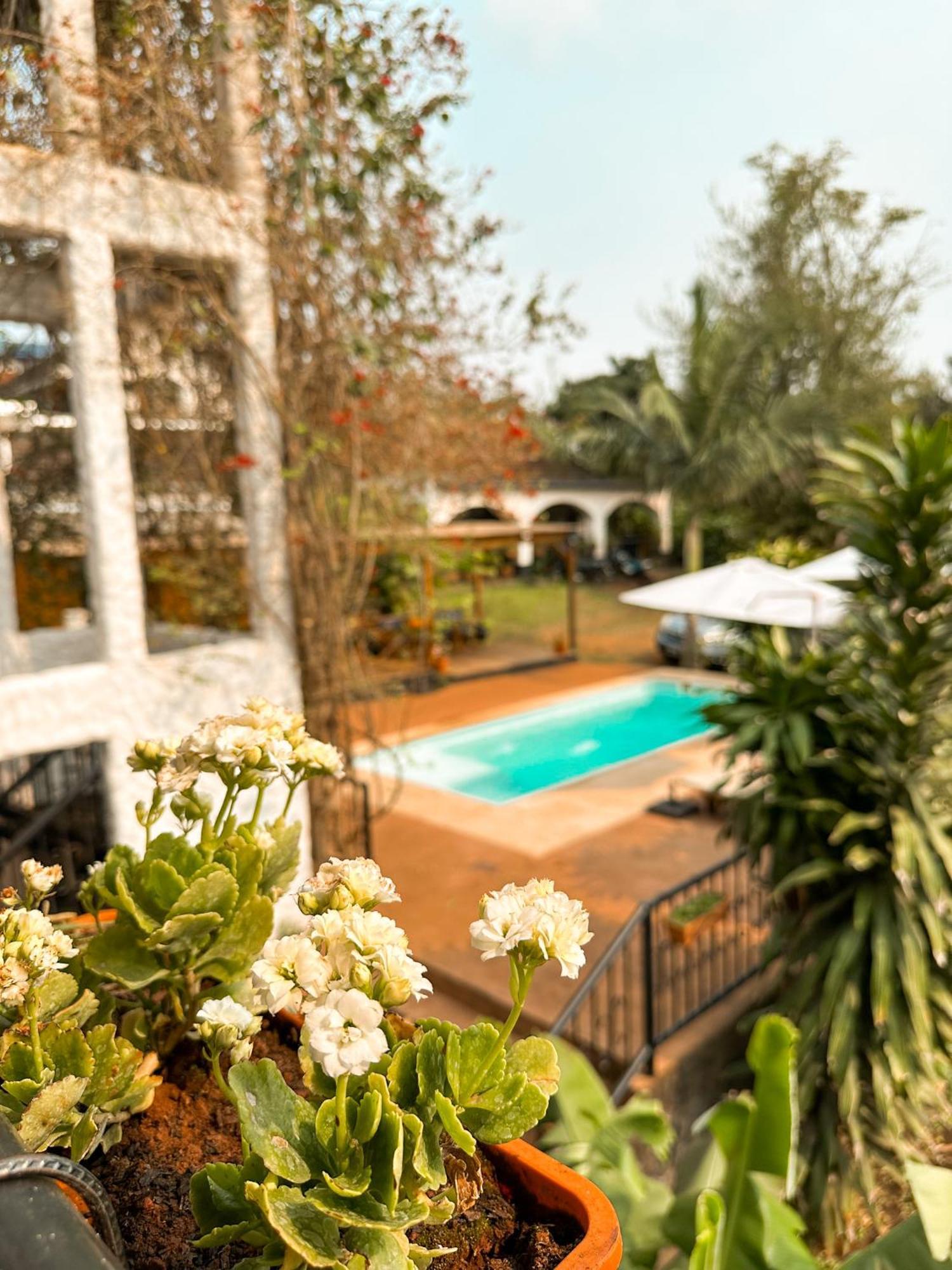 Mediterraneo Suites Puerto Iguazú Eksteriør billede